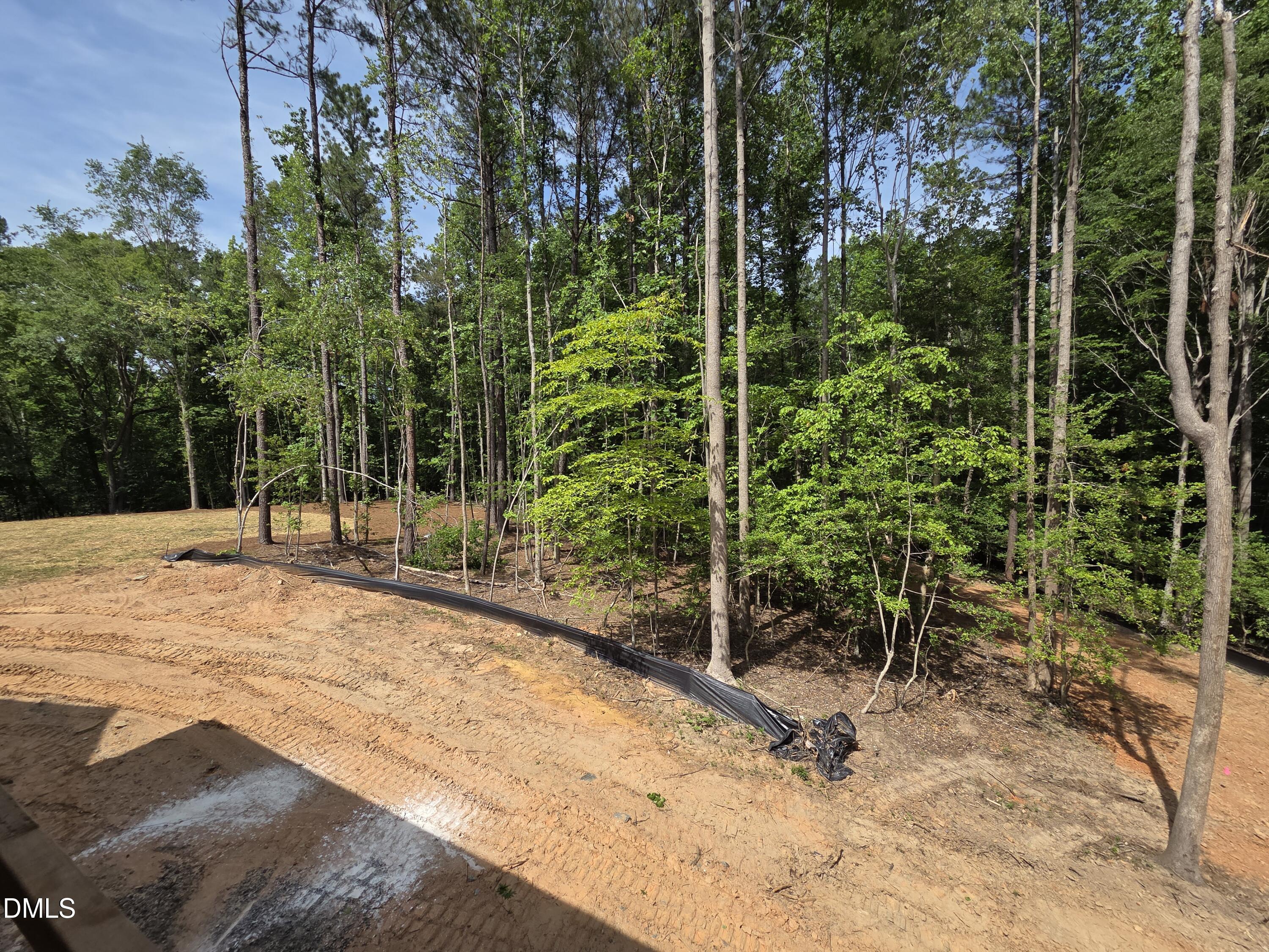 404 Shinleaf Pond Trail Raleigh, NC 27614 - Photo 57 of 72 20260531_151550