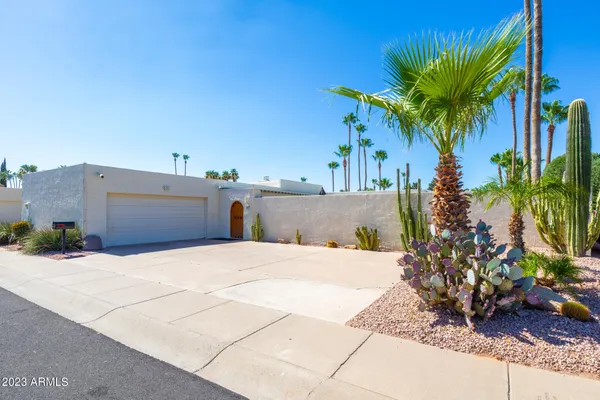 a plant in front of a house