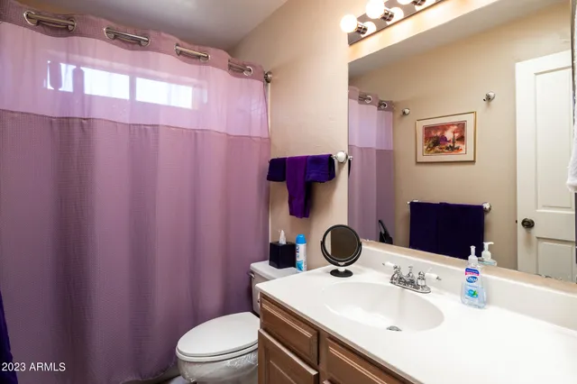 a bathroom with a sink vanity mirror and toilet