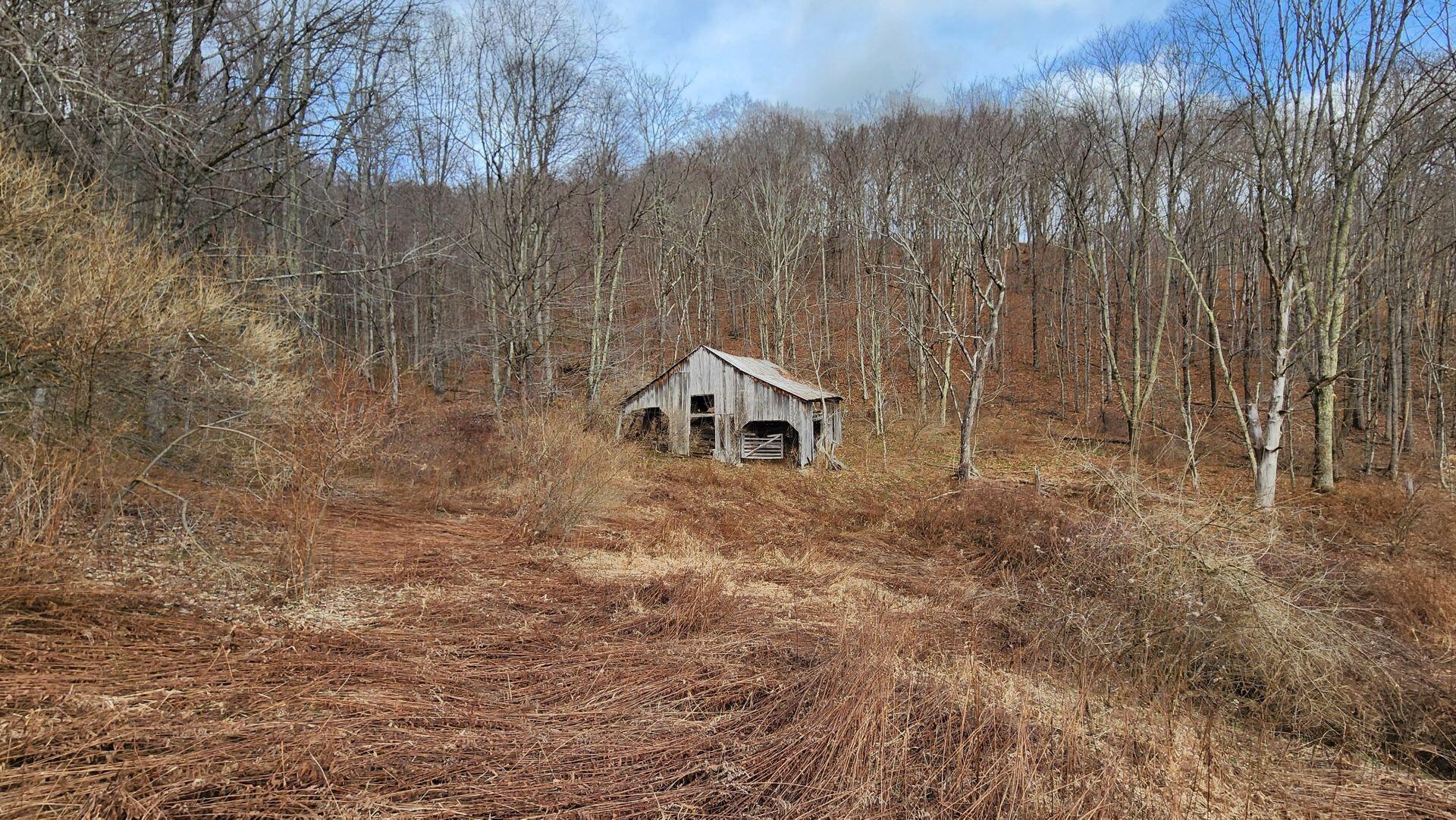 969 Simms Mountain Road Meadow Bridge, WV 25976 - Photo 26 of 31 Gallery Image 26