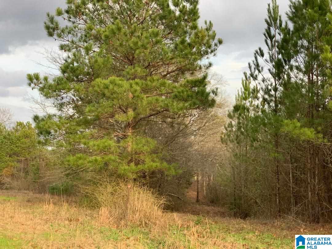 0 County Road 99, Unit 1 Verbena, AL 36091 - Photo 8 of 11