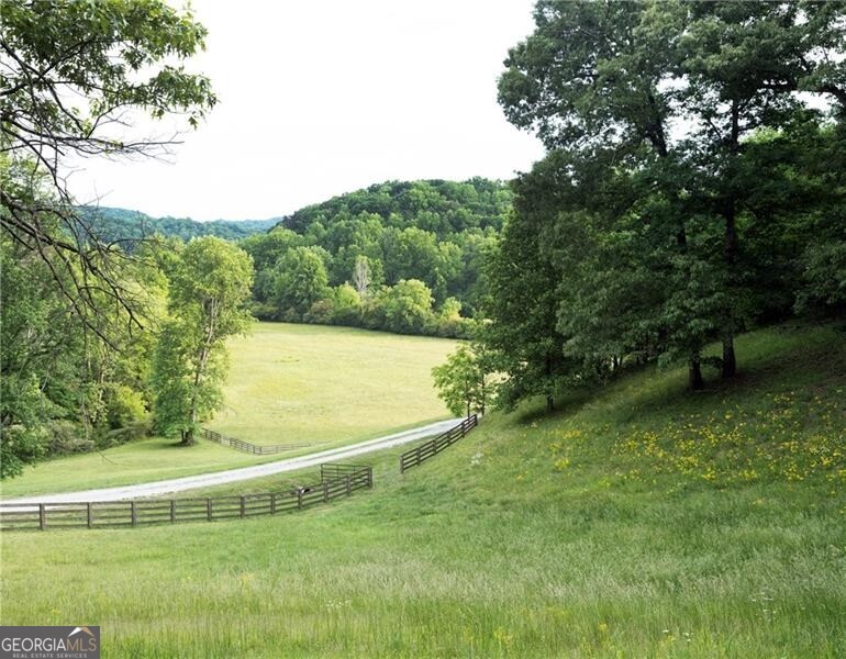 619 Hamp Mill Road Dahlonega, GA 30533 - Photo 3 of 118