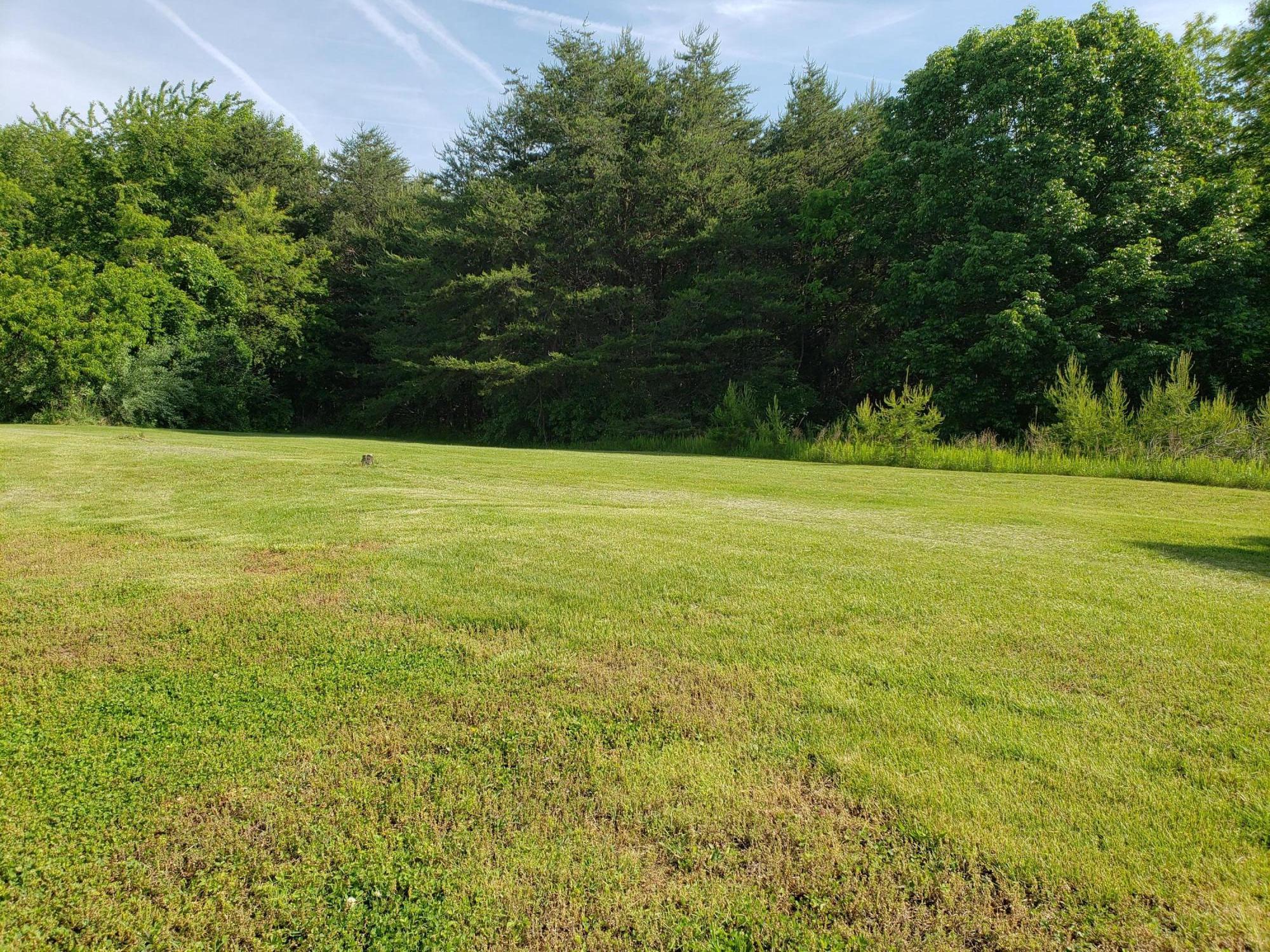 3529 Old Forge Road Rocky Mount, VA 24151 - Photo 14 of 14 a view of an ocean from a yard