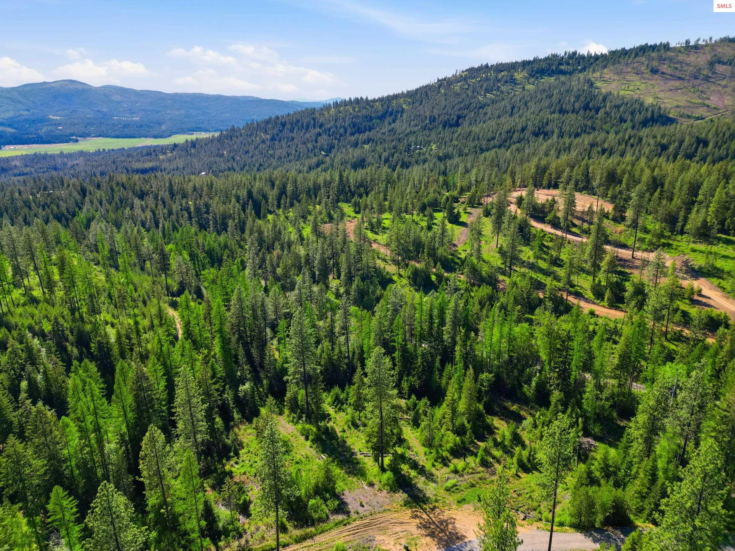 Nka Nka Stone Road Blanchard, ID 83804 - Photo 17 of 29 Gallery Image 17