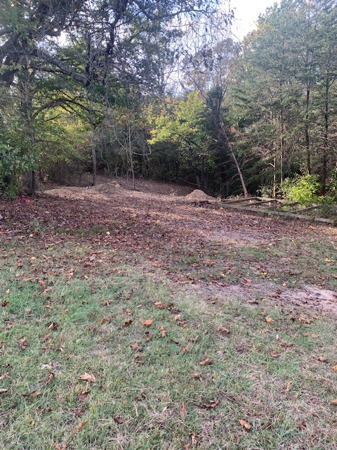 1374 Deal Road Burns, TN 37029 - Photo 11 of 24 a view of a forest with trees in the background