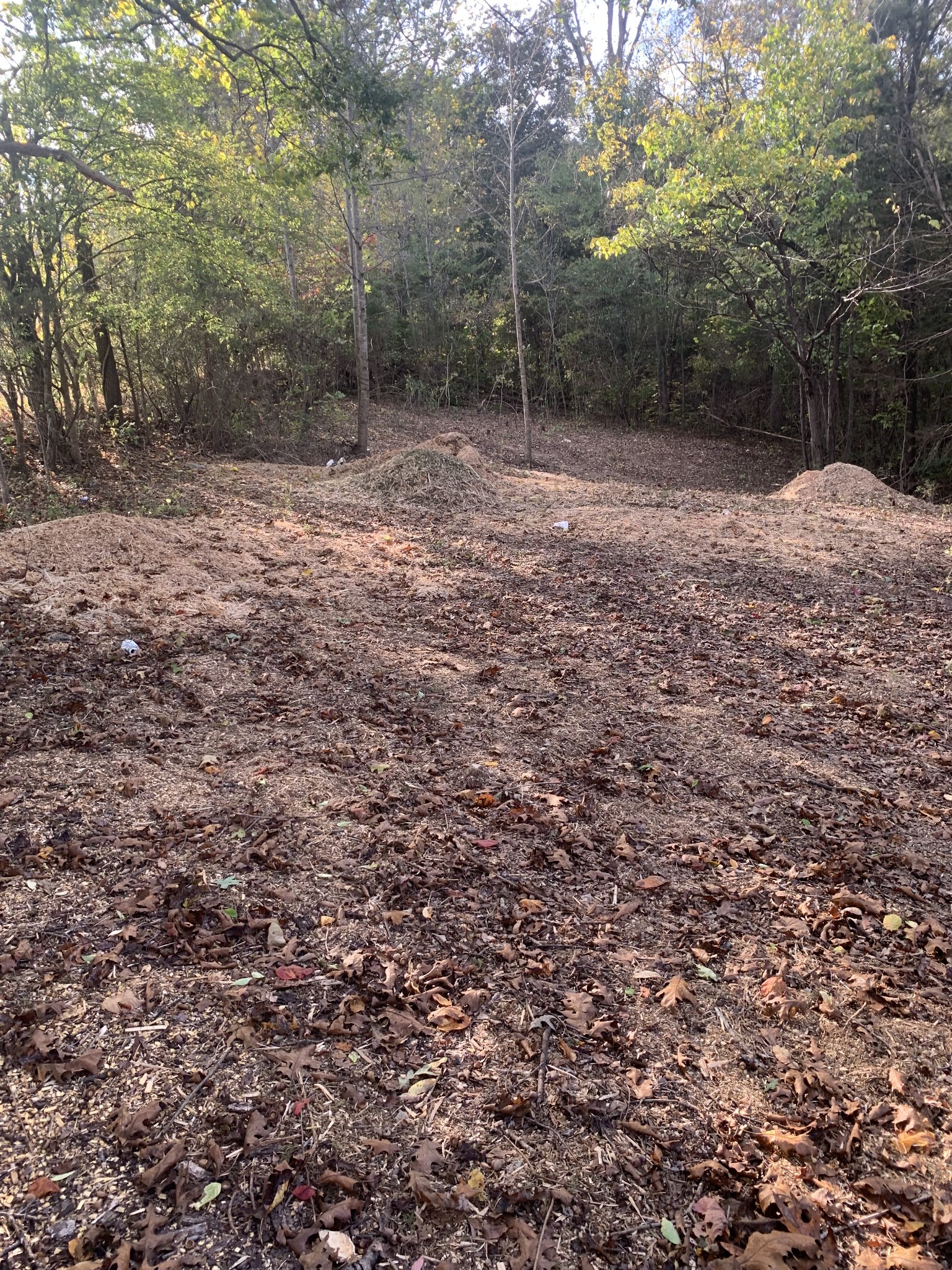 1374 Deal Road Burns, TN 37029 - Photo 12 of 24 a view of empty room with trees
