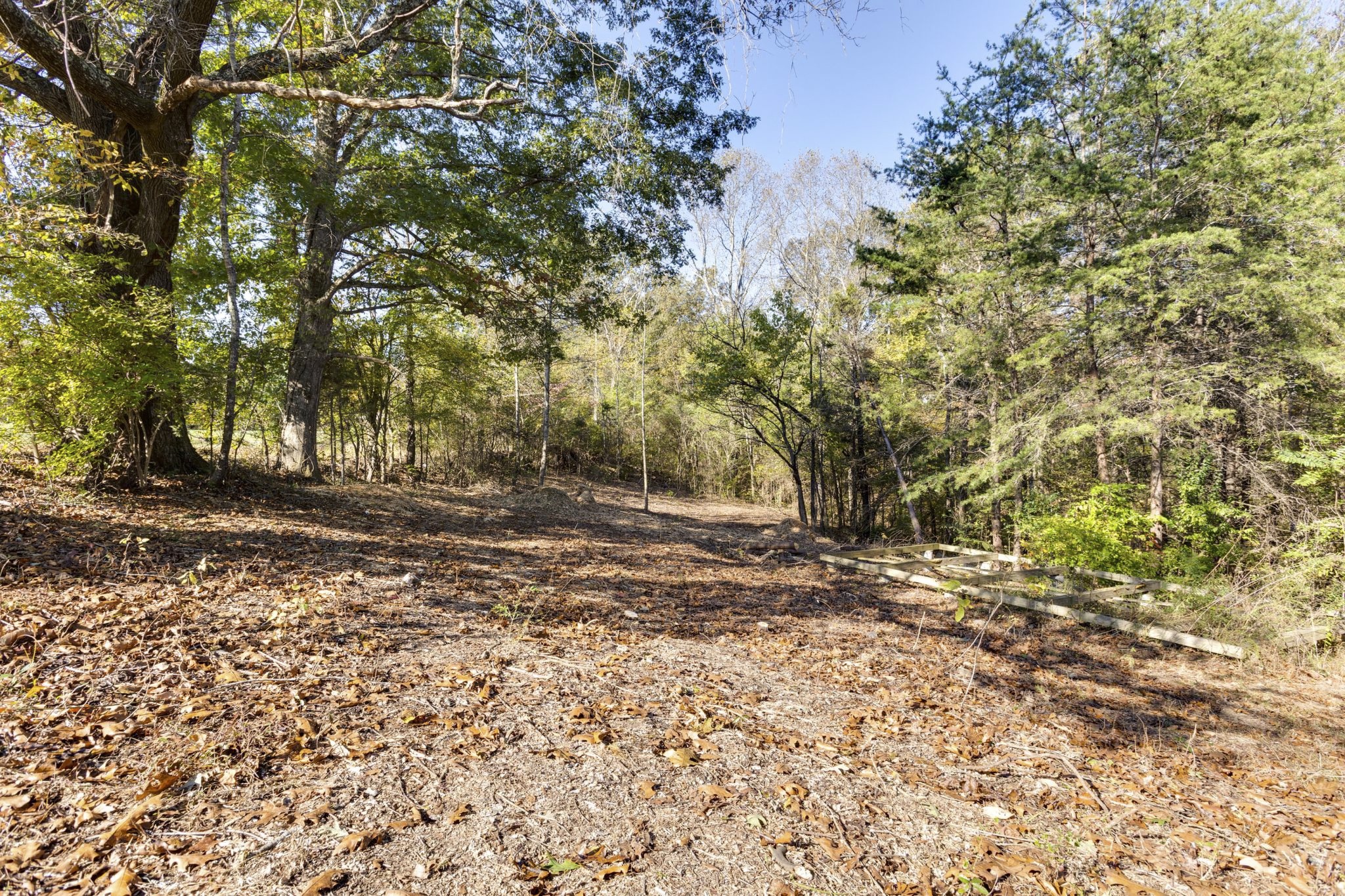 1374 Deal Road Burns, TN 37029 - Photo 14 of 24 a view of a yard with plants and trees