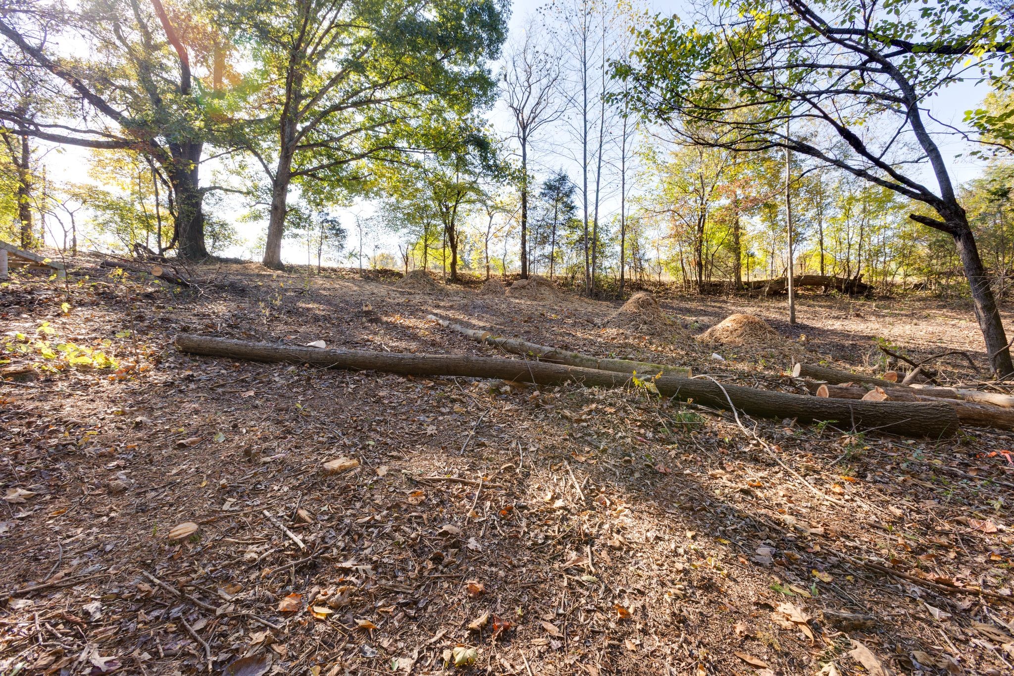 1374 Deal Road Burns, TN 37029 - Photo 19 of 24 a view of a yard with trees