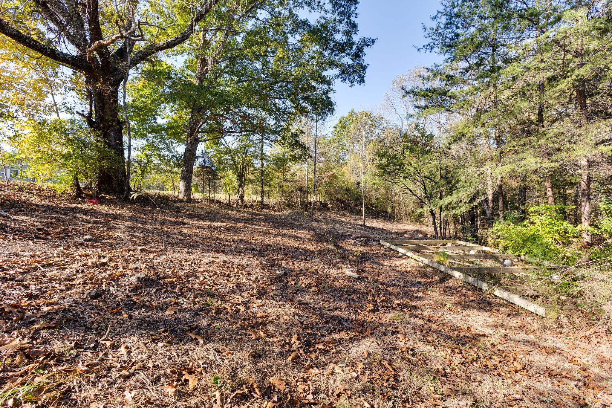 1374 Deal Road Burns, TN 37029 - Photo 20 of 24 a view of dirt yard with a large tree
