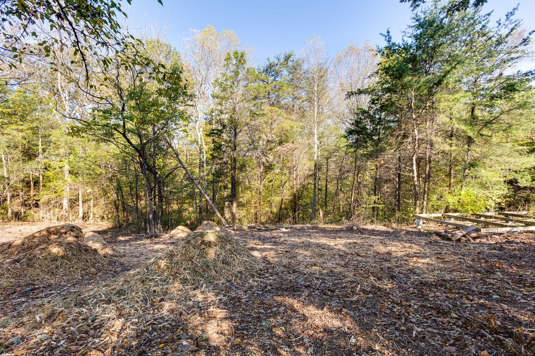 1374 Deal Road Burns, TN 37029 - Photo 21 of 24 a view of outdoor space with trees