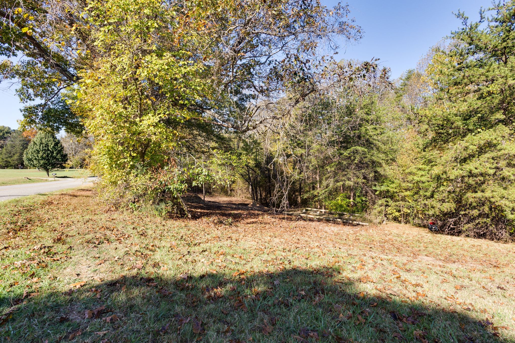 1374 Deal Road Burns, TN 37029 - Photo 24 of 24 a view of outdoor space and trees