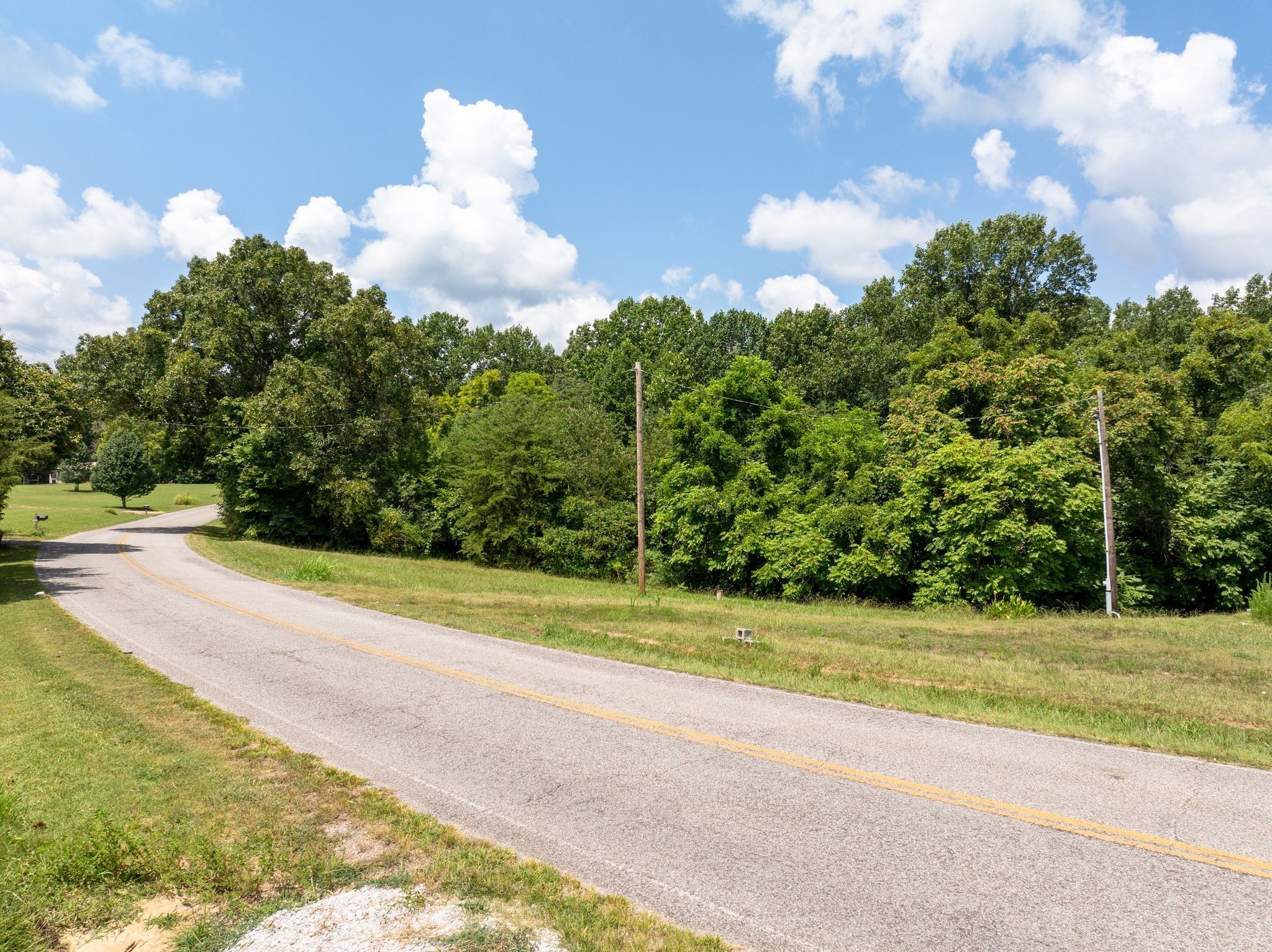 1374 Deal Road Burns, TN 37029 - Photo 6 of 24 a view of a house with backyard and a tree