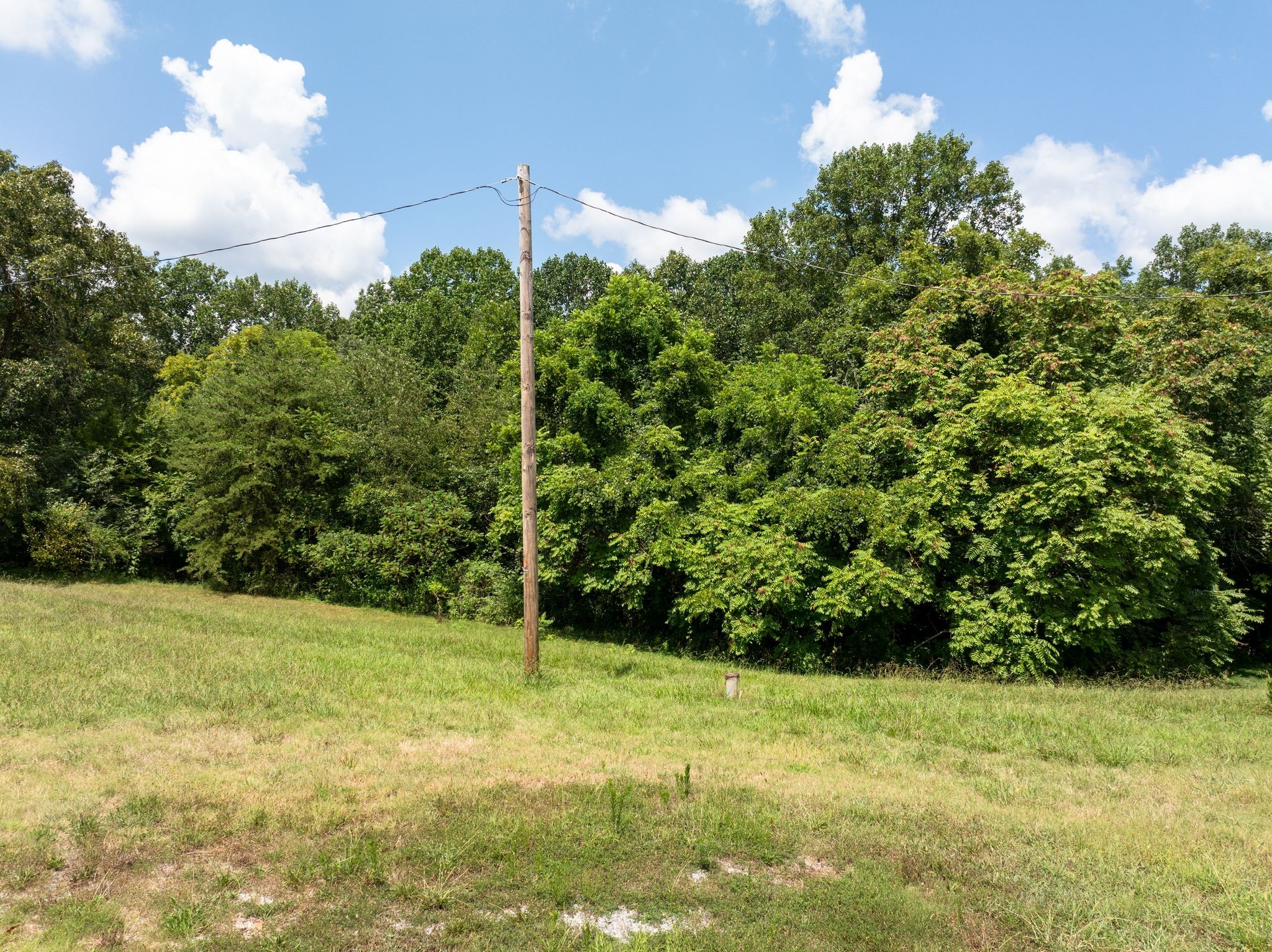 1374 Deal Road Burns, TN 37029 - Photo 9 of 24 a view of a garden with a fountain
