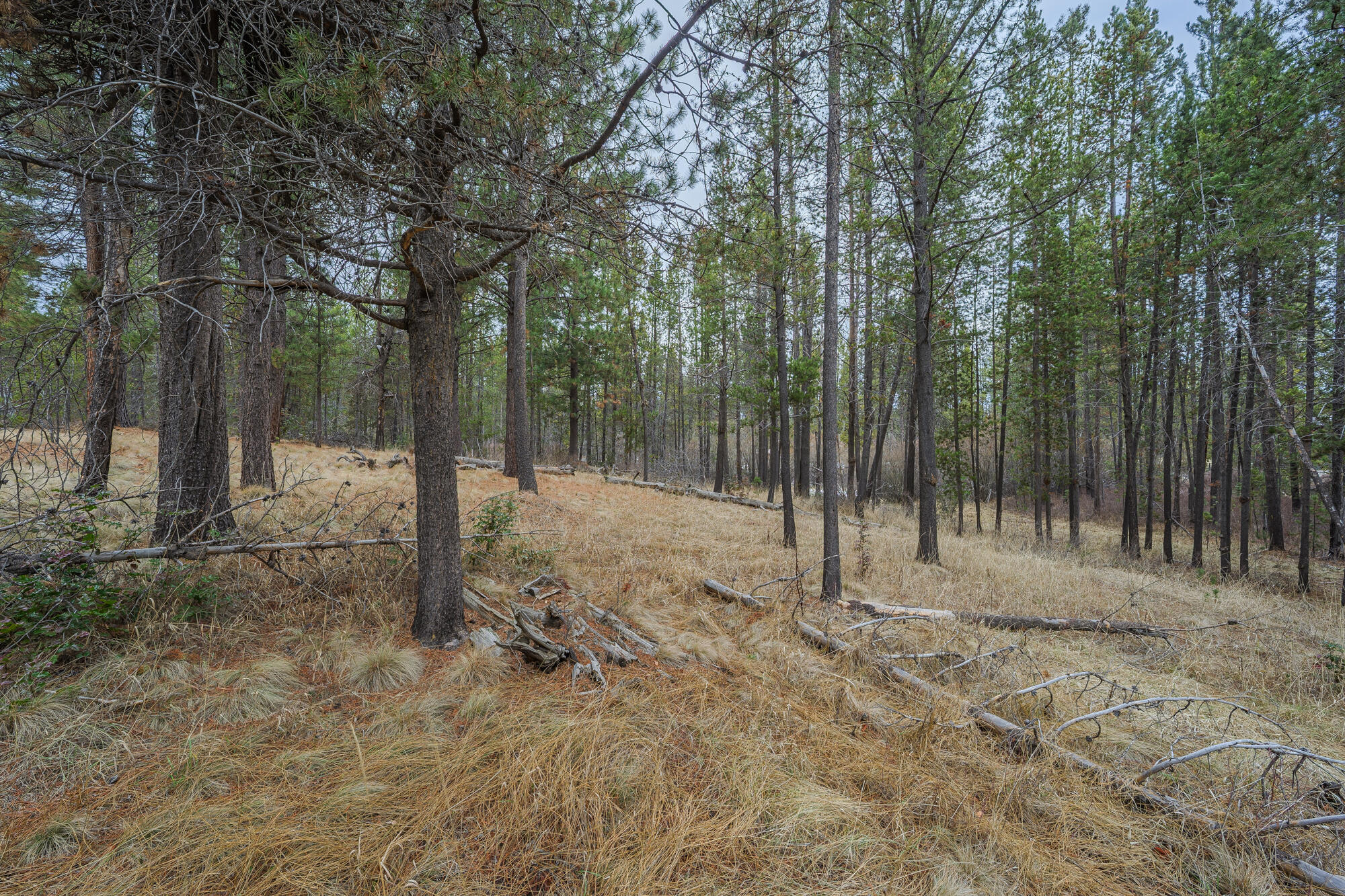 17292 Indio Road Bend, OR 97707 - Photo 21 of 25 Lot