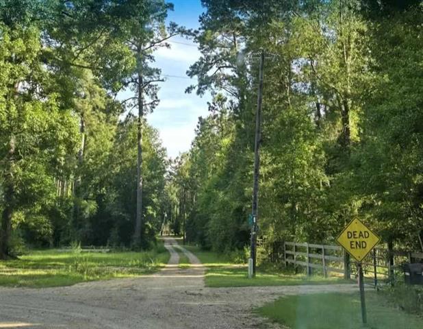 Tbd South Bennett Road Independence, LA 70443 - Photo 4 of 6 Gallery Image 4