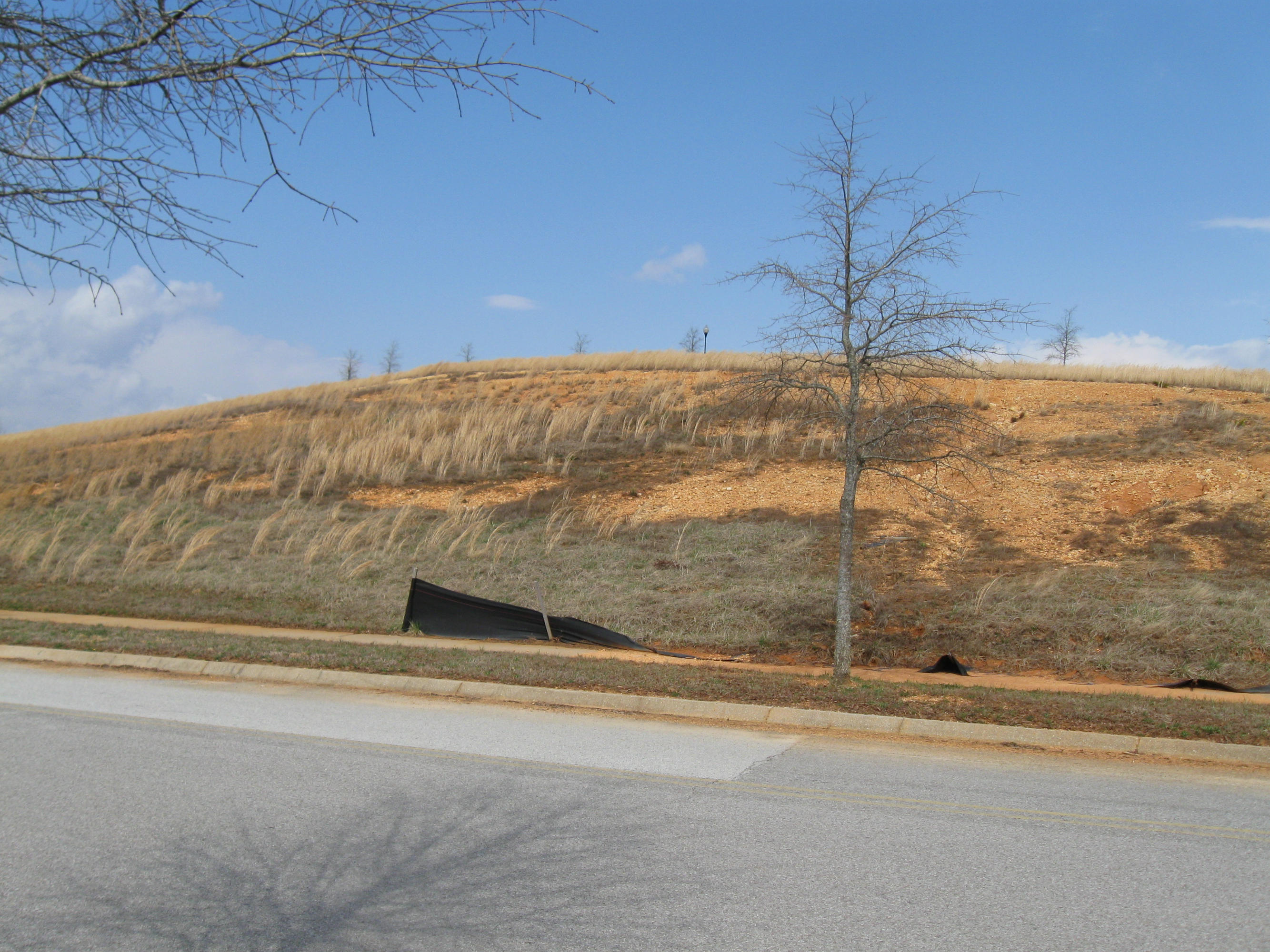 103 Sweetberry Street Oak Ridge, TN 37830 - Photo 3 of 4 IMG_3478