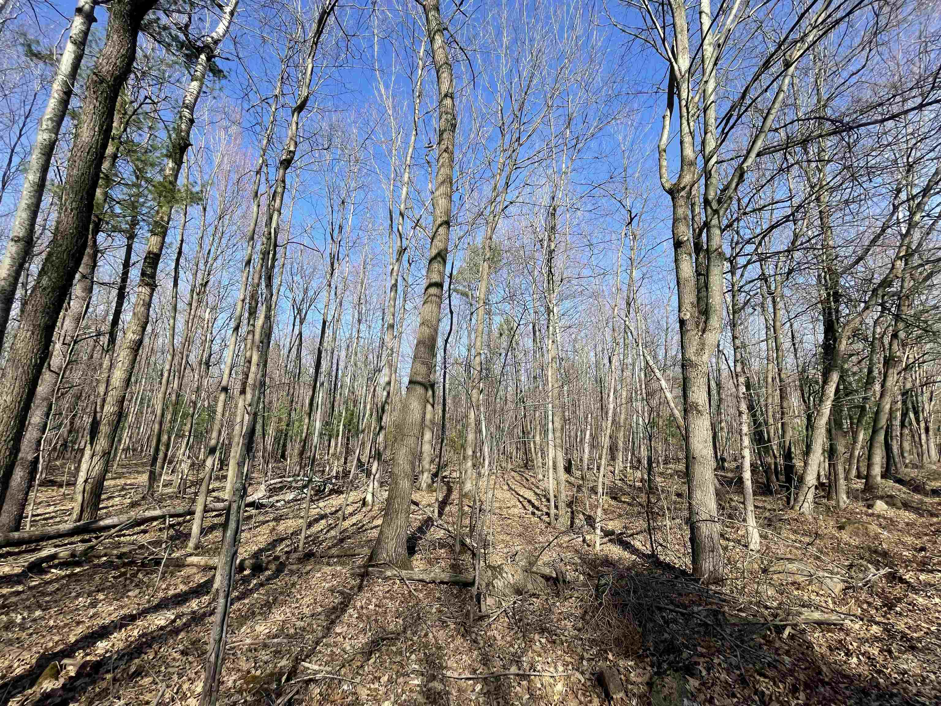 Lot 1 Granite Ridge Road Stevens Point, WI 54481 - Photo 1 of 1