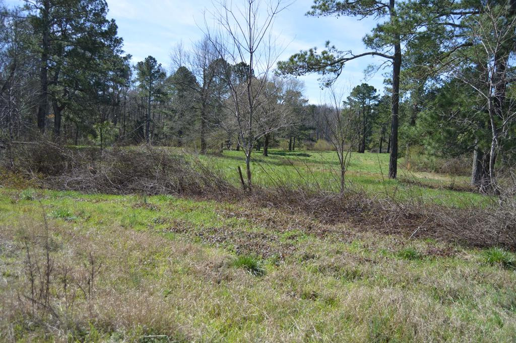 0 Mayo Road Ridge Spring, SC 29129 - Photo 11 of 14