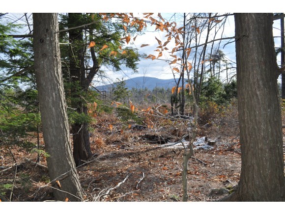 Lot 22-2 Hall Farm Road New London, NH 03257 - Photo 3 of 5 Gallery Image 3