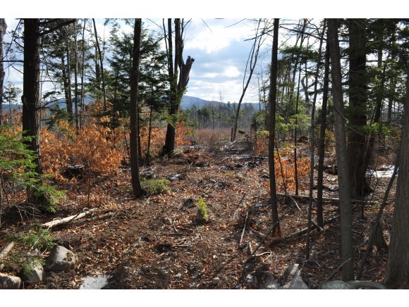 Lot 22-2 Hall Farm Road New London, NH 03257 - Photo 4 of 5 Gallery Image 4