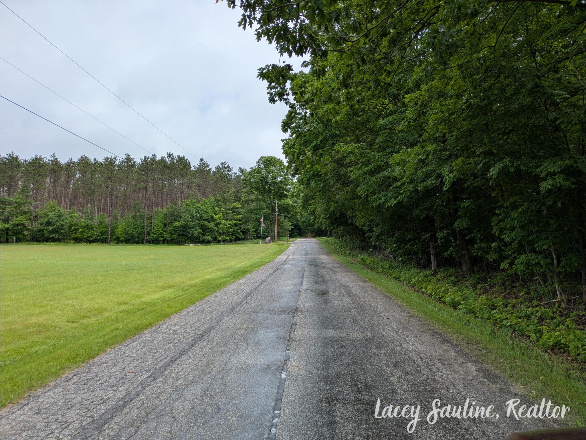 West Finkle Road Cadillac, MI 49601 - Photo 16 of 21 Lacey Sauline
