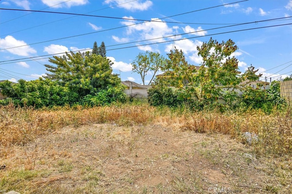 1716 West Piru Street Compton, CA 90222 - Photo 14 of 17 a view of a yard with plants