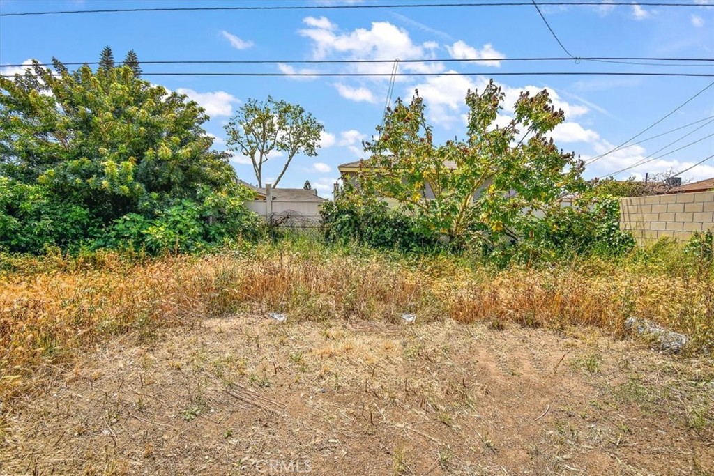 1716 West Piru Street Compton, CA 90222 - Photo 15 of 17 a view of a flower