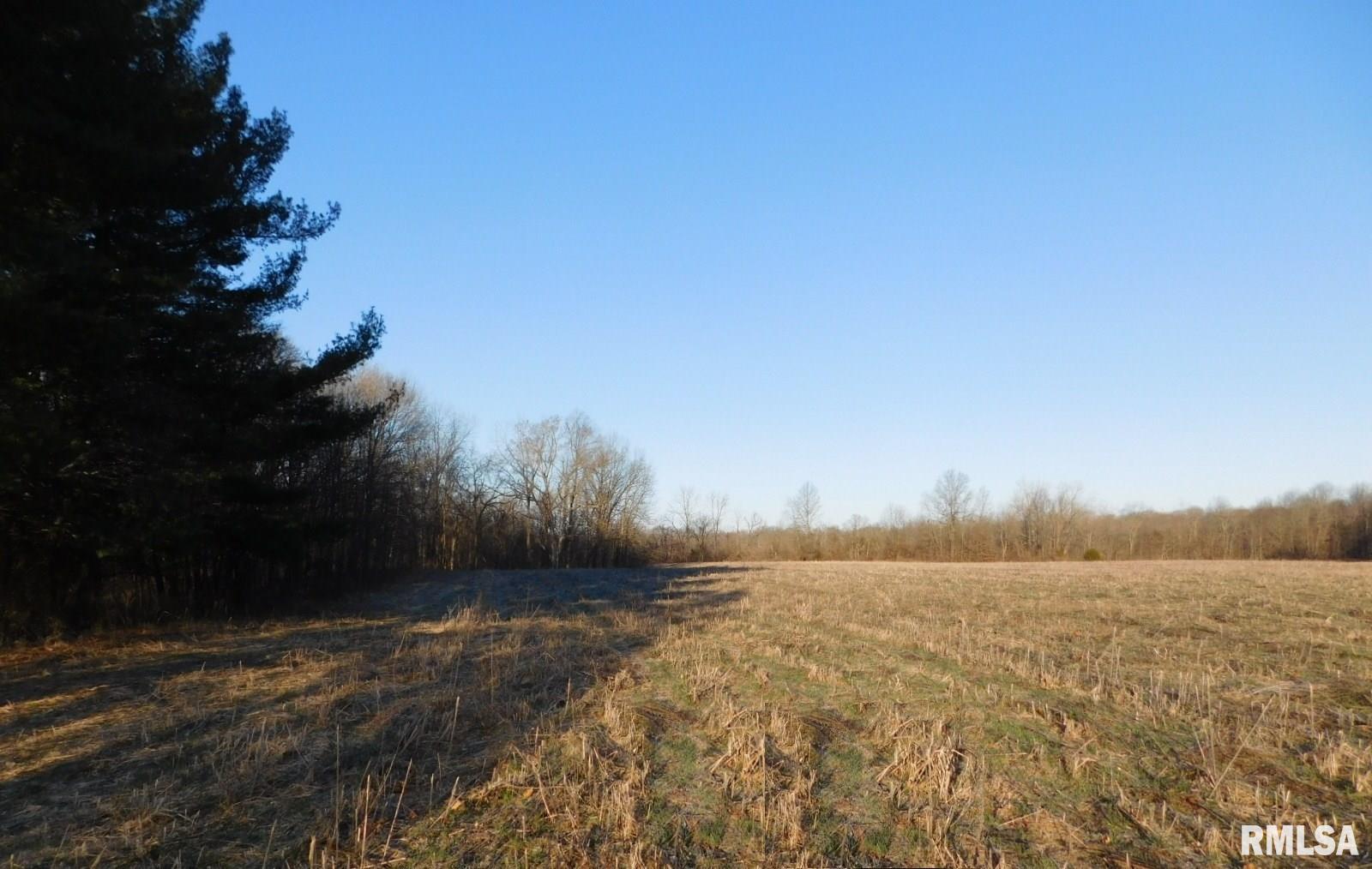 4831 Kirby Road Iuka, IL 62849 - Photo 22 of 30