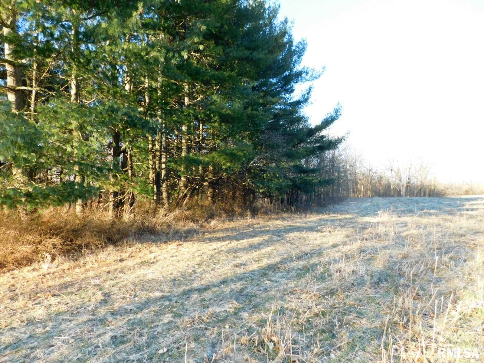4831 Kirby Road Iuka, IL 62849 - Photo 24 of 30