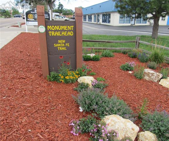 331 Raspberry Lane Monument, CO 80132 - Photo 32 of 35