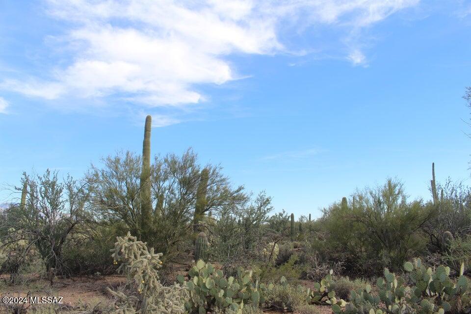 7480 West Ina Road Tucson, AZ 85743 - Photo 6 of 6 Gallery Image 6