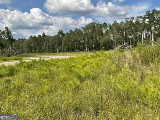 a view of a yard with swimming pool and trees in the background