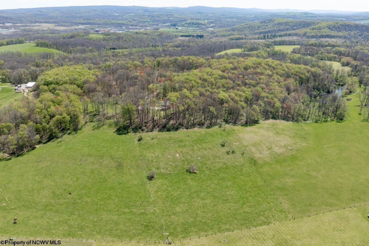 1263 Moccasin Rocks Road Bruceton Mills, WV 26525 - Photo 41 of 50 Gallery Image 41