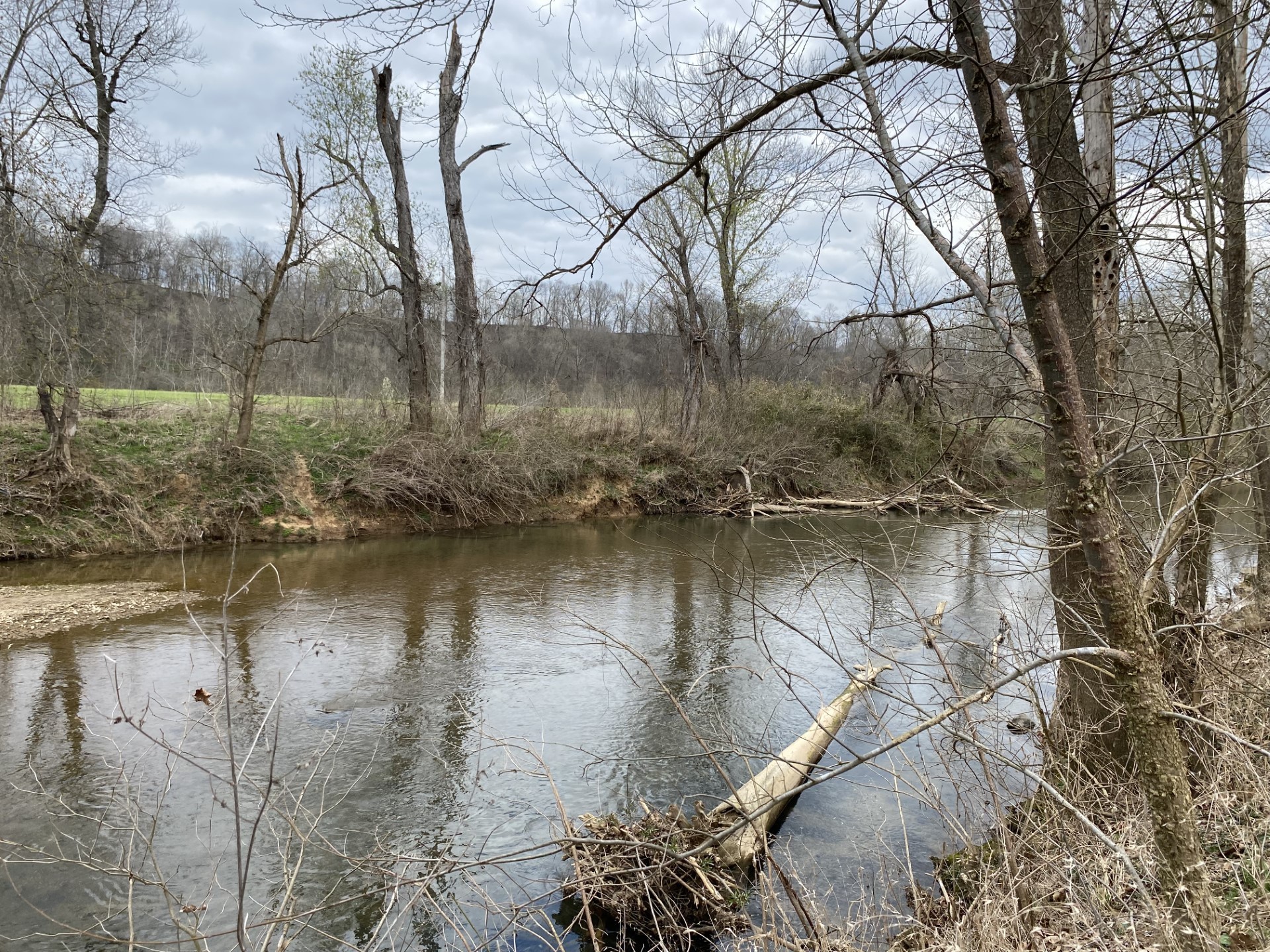 0 Rock Springs Road Charlotte, TN 37036 - Photo 11 of 12