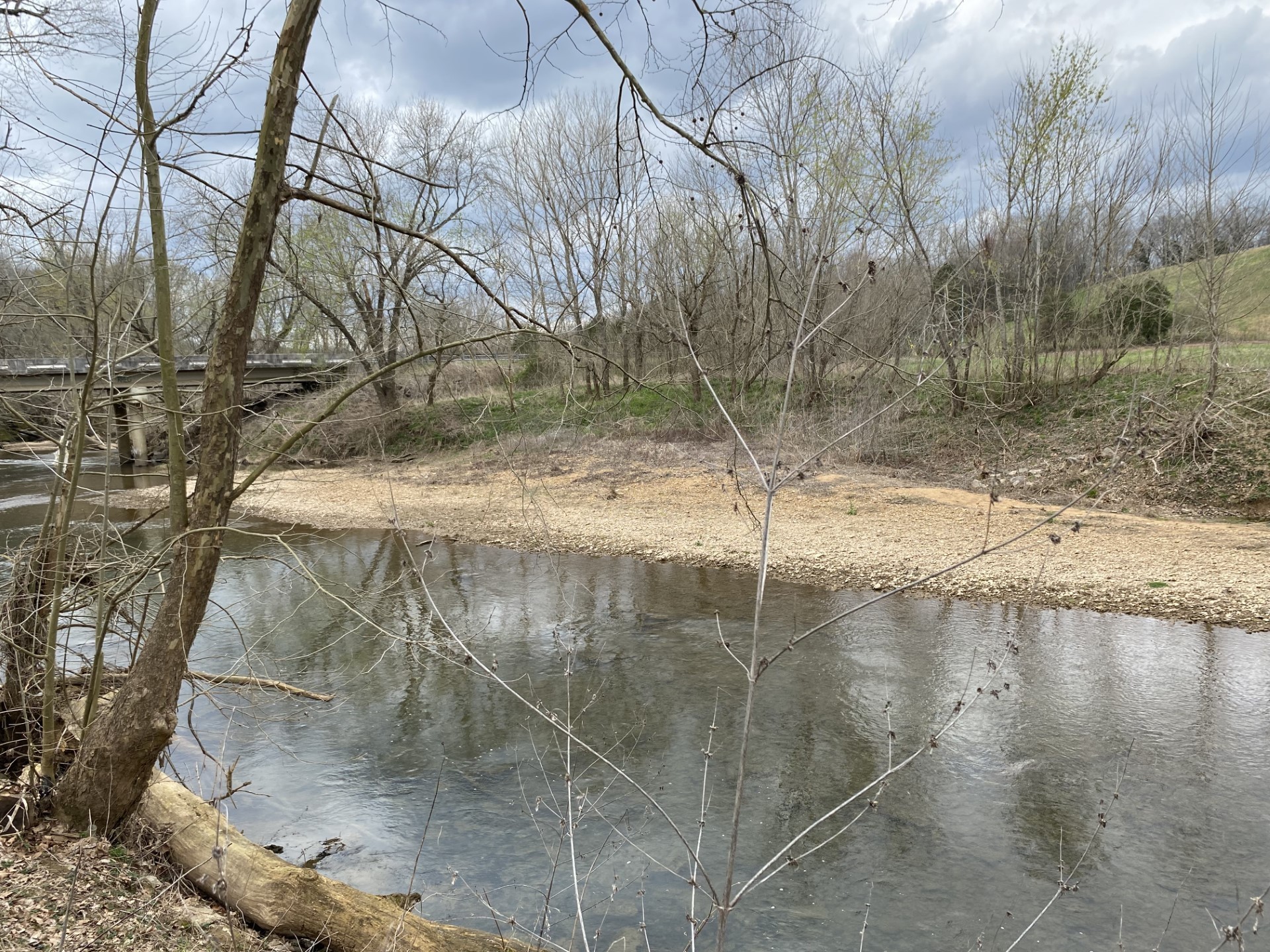 0 Rock Springs Road Charlotte, TN 37036 - Photo 12 of 12 a view of a yard