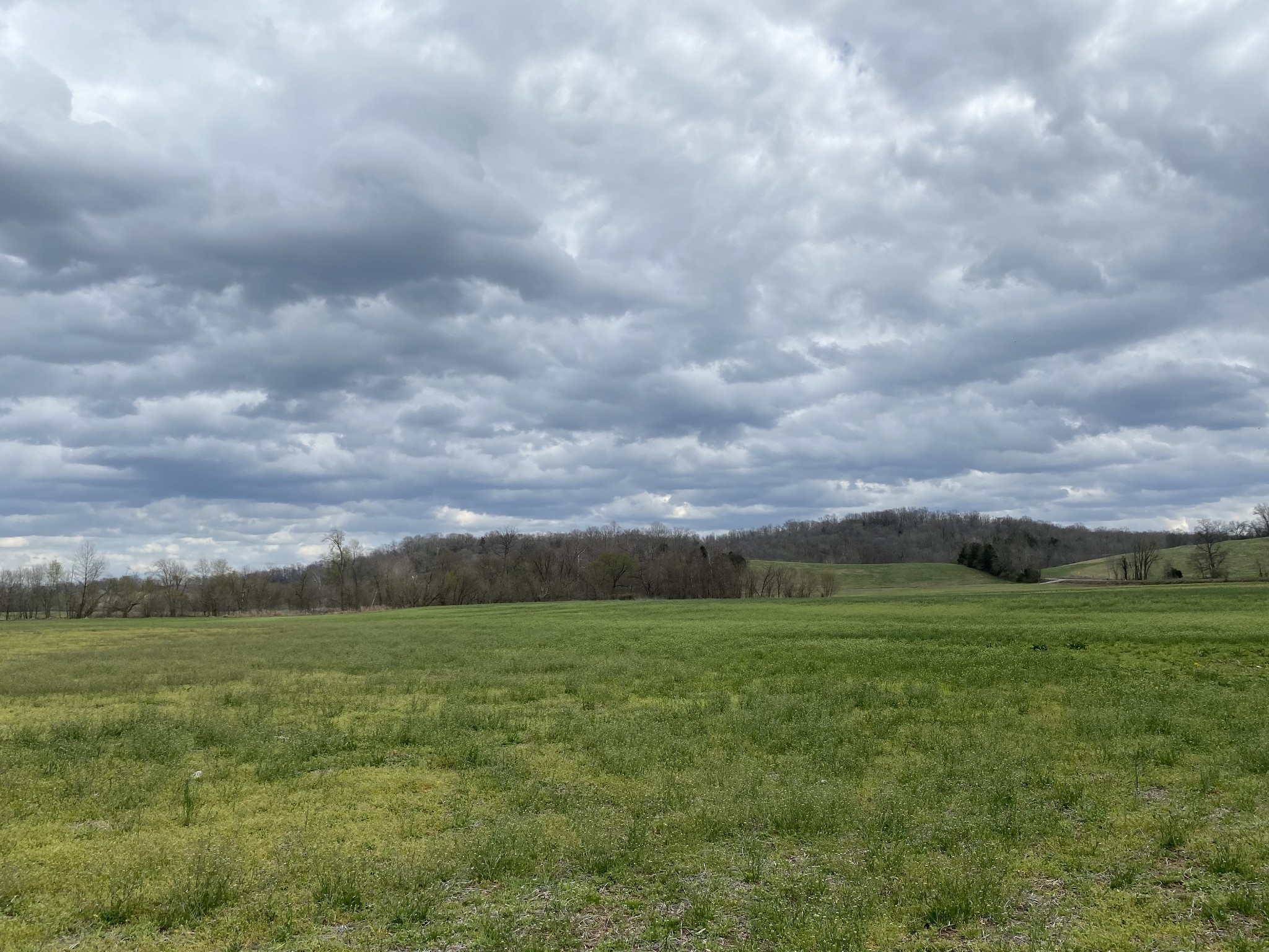 0 Rock Springs Road Charlotte, TN 37036 - Photo 2 of 12 a view of a field with an buildings in the background