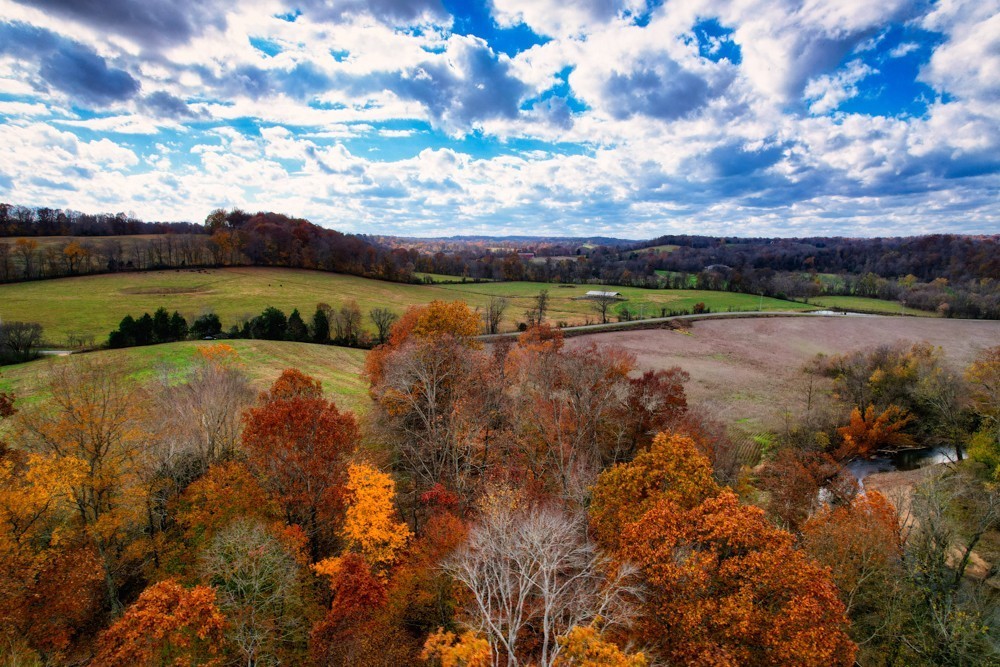 0 Rock Springs Road Charlotte, TN 37036 - Photo 3 of 12 a view of a lake with houses in the back