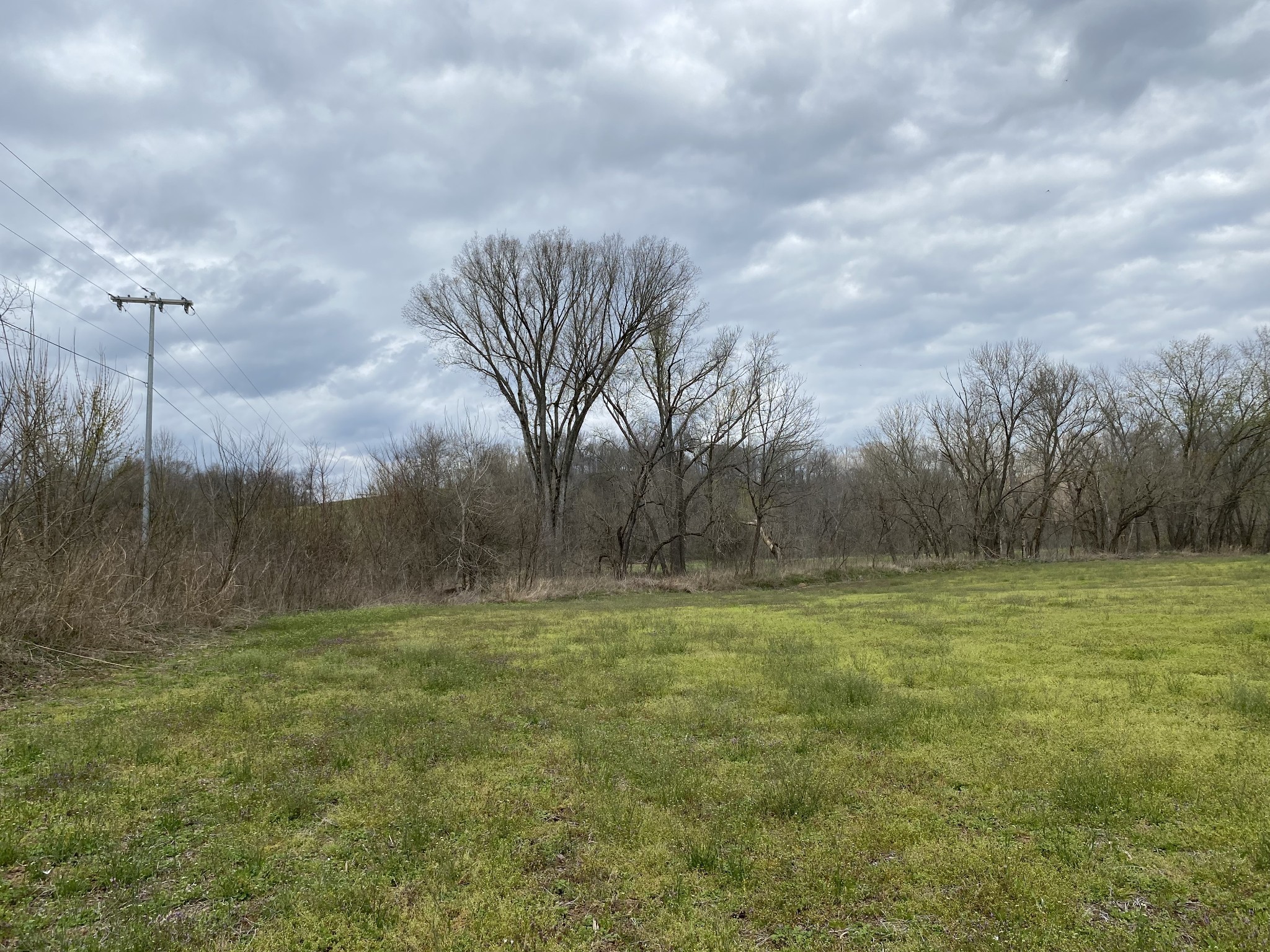 0 Rock Springs Road Charlotte, TN 37036 - Photo 7 of 12 a view of a field with a tree in the background