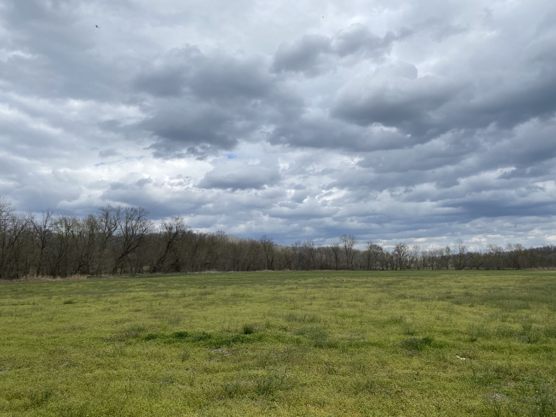 0 Rock Springs Road Charlotte, TN 37036 - Photo 8 of 12 a view of a lake with a big yard