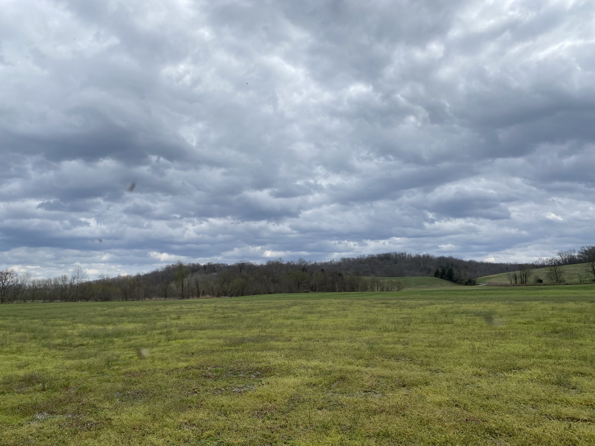 0 Rock Springs Road Charlotte, TN 37036 - Photo 10 of 12