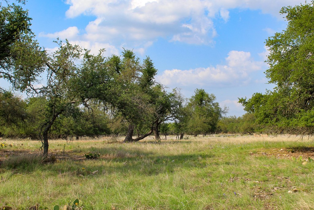 196 Apache Trace Northwest Harper, TX 78631 - Photo 3 of 3