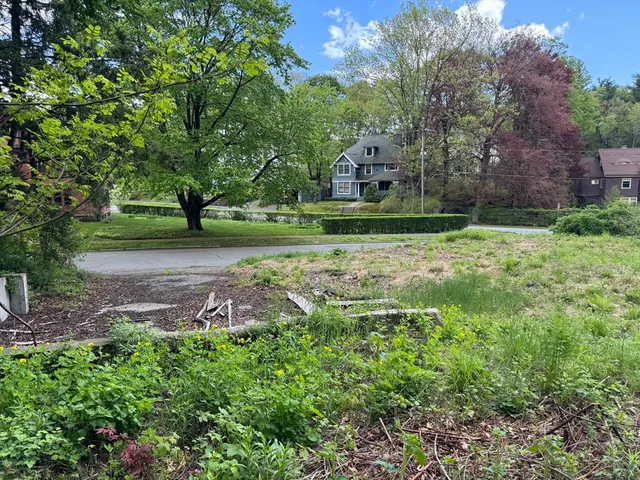 a view of a park with large trees