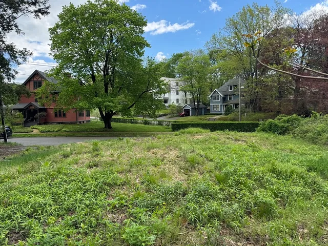 a view of a park that has large trees