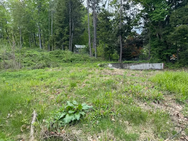 a view of outdoor space and garden
