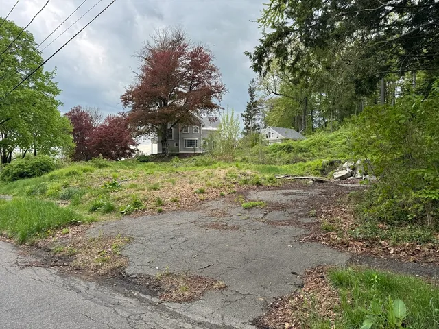 a view of a yard with a tree