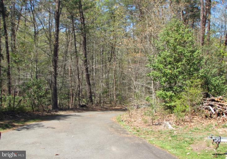 7005 Henson Landing Road Welcome, MD 20693 - Photo 2 of 22 Driveway