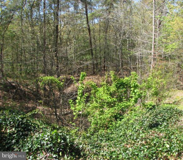 7005 Henson Landing Road Welcome, MD 20693 - Photo 17 of 22 Land