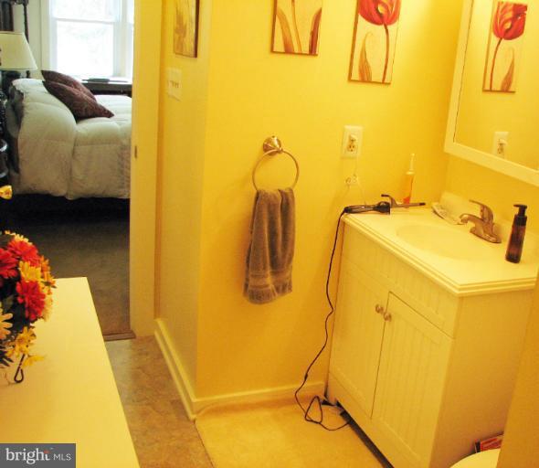 7005 Henson Landing Road Welcome, MD 20693 - Photo 3 of 22 Bath (Master)