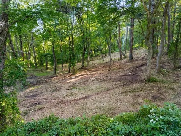 a backyard of a house with lots of green space