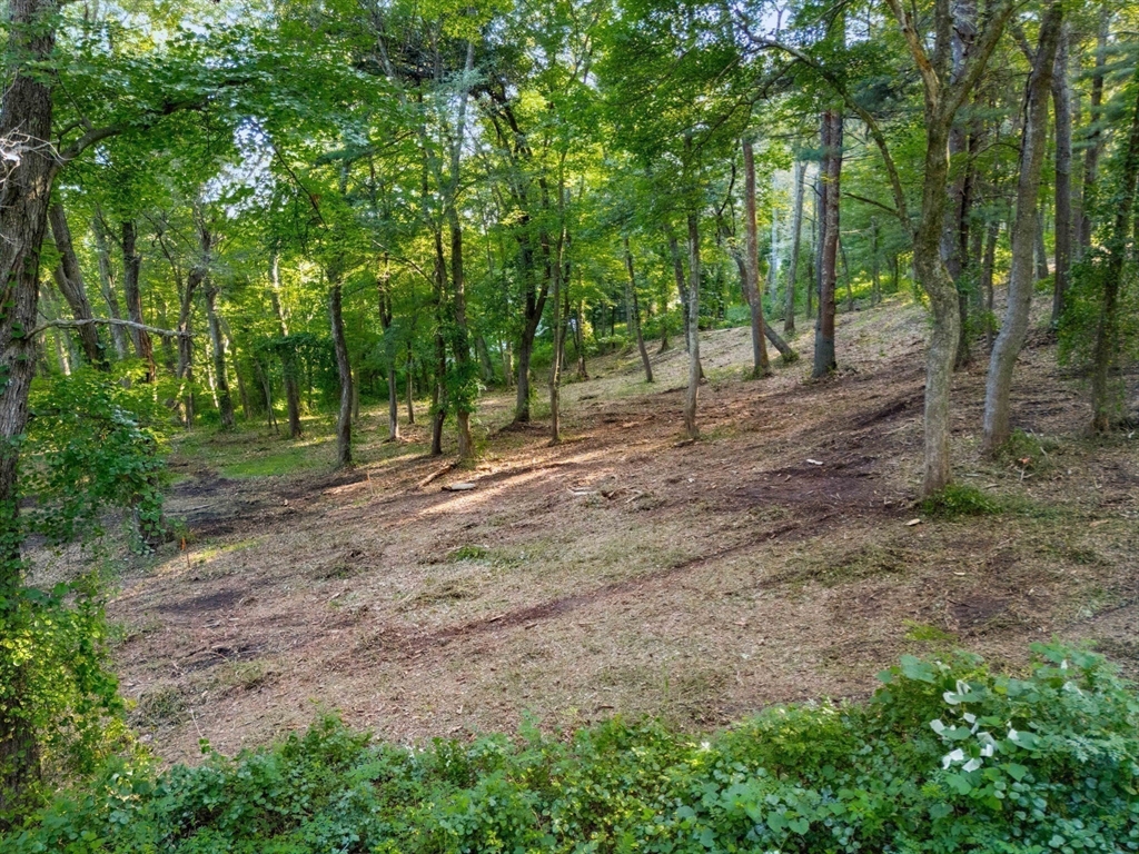 45 Pineswamp Road Ipswich, MA 01938 - Photo 21 of 29